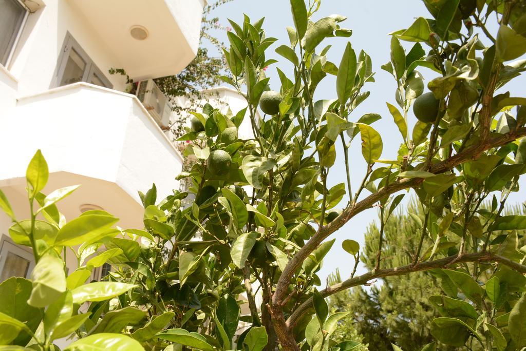 Hermess Hotel Oren (Milas) Exterior photo